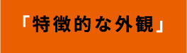 「特徴的な外観」